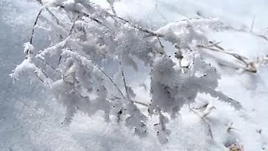 冰雪霜冻天气实拍视频的预览图